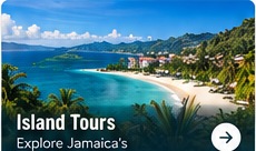 Island Tours scenic photograph